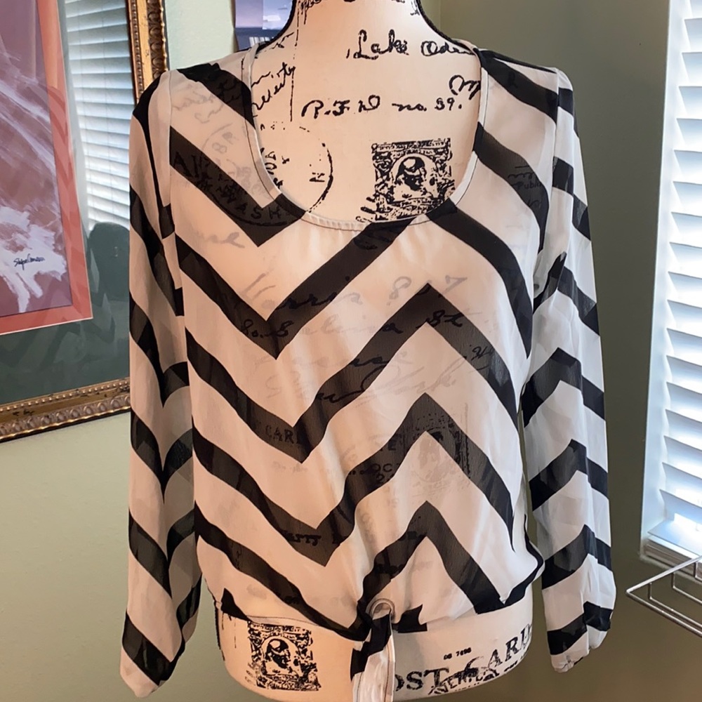 EUC Tea Rose Sheer Blouse